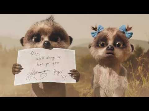 No place to call home | 60’’ | Compare the Market TV ad | Compare the Meerkat