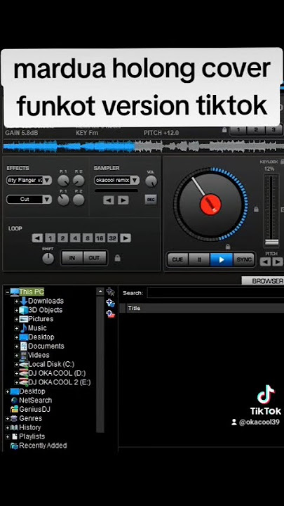 Mardua holong funkot version tiktok viral #singlefunkot