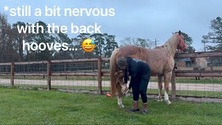 Am I to blame? Maybe… but I WILL fix it 🤕🐴