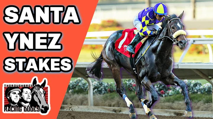 2023 Santa Ynez Stakes Preview & FREE Picks | Just...