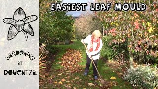 Easiest Leaf Mould, How to Use it, Difference Between Compost & Leaf Mould || Quick & Easy Guide