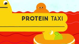 Information How do vitamins work    Ginnie Trinh Nguyen News