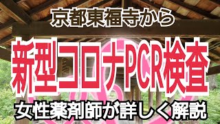 京都東福寺から【新型コロナPCR検査】女性薬剤師が解説／京都女性漢方まつみ薬局