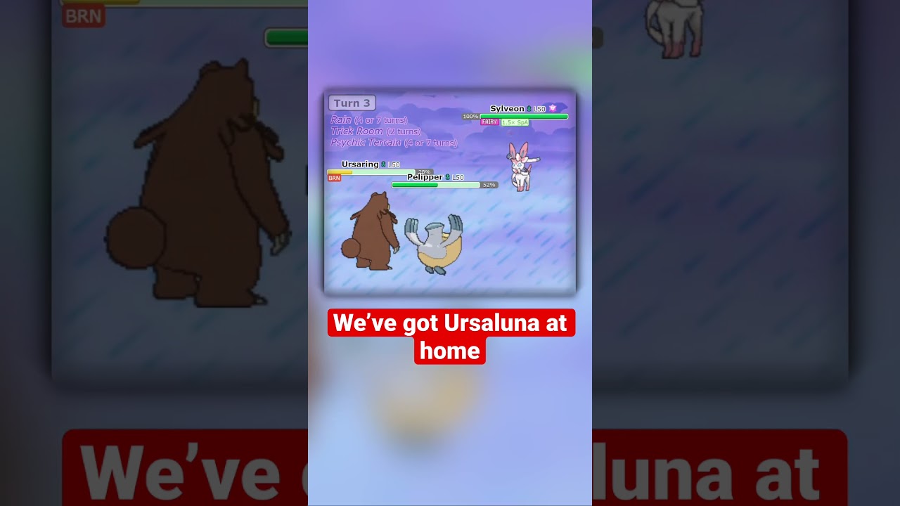 Ursaluna from Wish.com