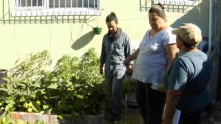 Mitchells Plain Food Freedom Project