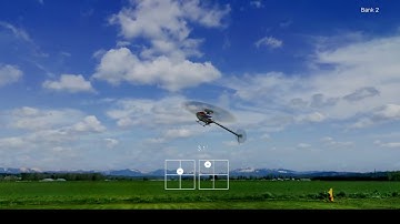 Heli-X Reaction Training