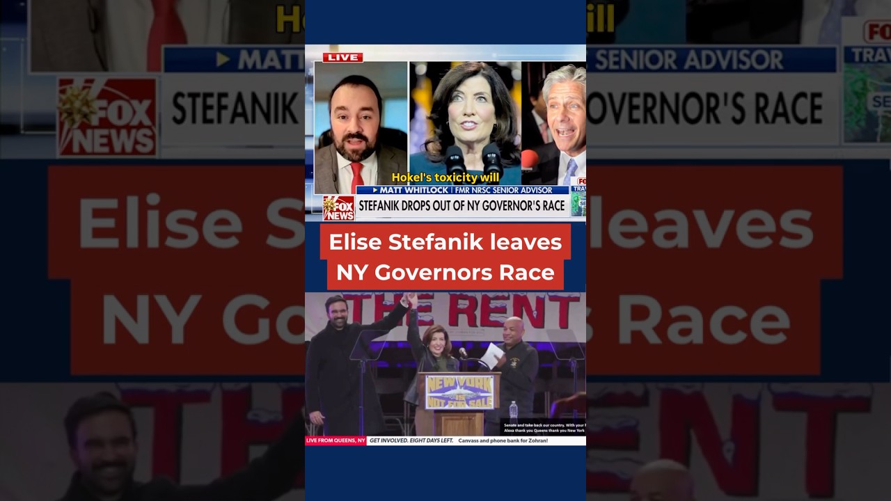 Whitlock on Fox: Dems underestimate the Zohran and APC effect at their own risk