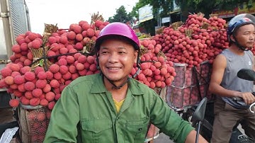 Sáng Sớm Đã Thất Thủ Giá Vải 18/6/2022 Bà Con Bán Từ Tờ Mờ Sáng I Núi Đồi Lục Ngạn