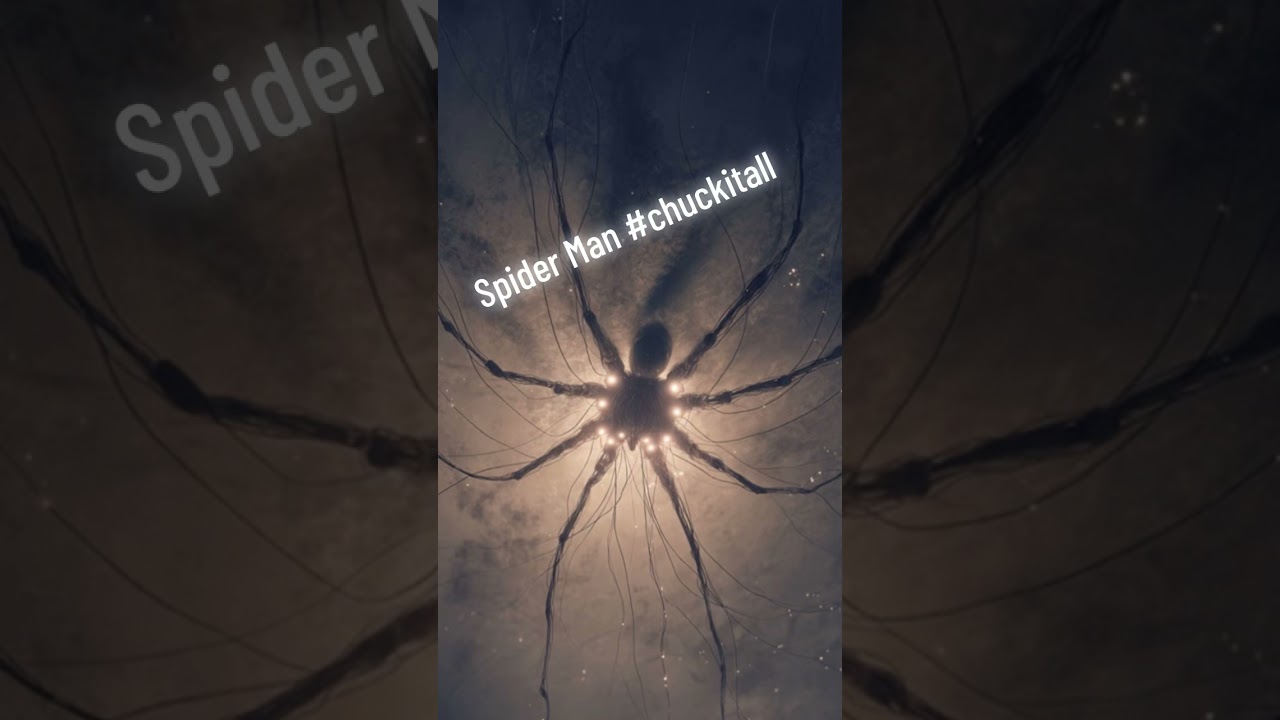 Spider Man #chuckitall