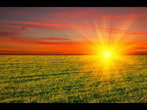 Ho Ben Lam Banh Beo Dfsafsaf Ddsaf Dsaf1694 