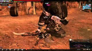 Black Hammer Solo - Sword Lann