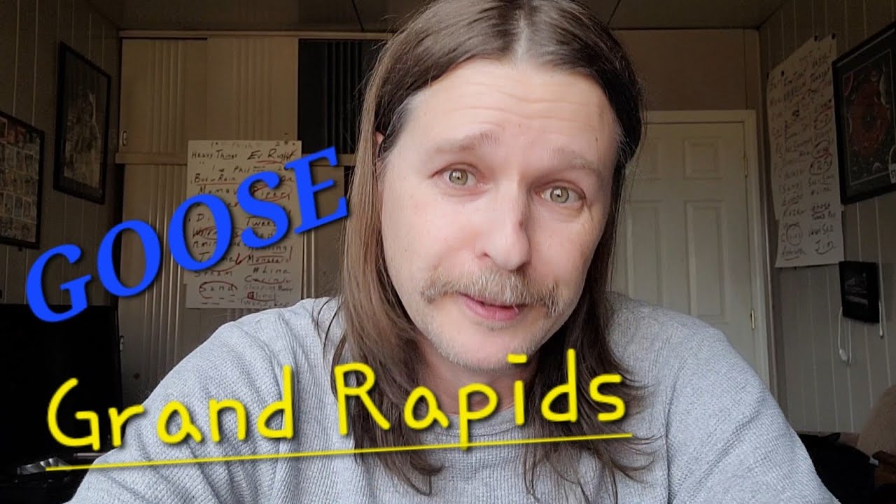 Checking in on Goose