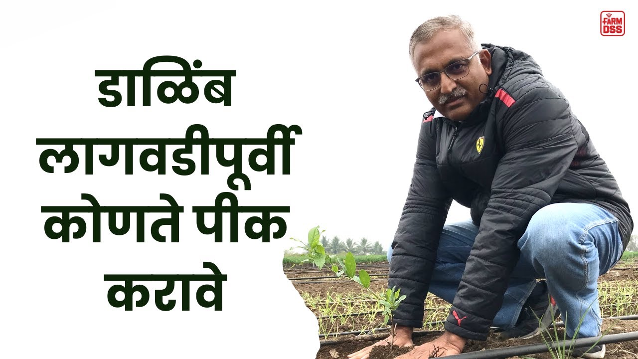 प्रश्न क्रमांक 69 - लागवड करण्याआधी कोणते पीक करावे @BTGore