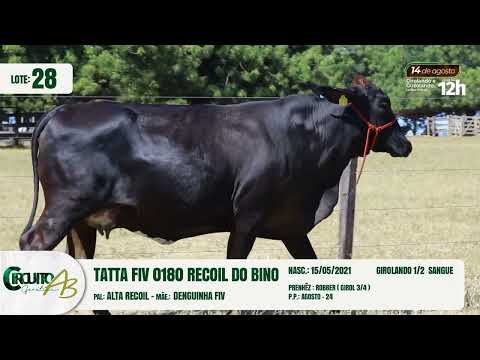 LOTE 28   BU 5157