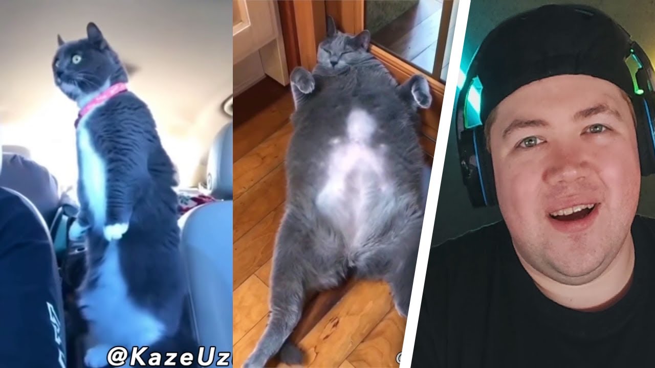 Was Tiere So Denken 105 - 109 | REAKTION