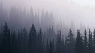 No fate awaits me - Son Lux ft. Faux Fix (lyrics on screen)