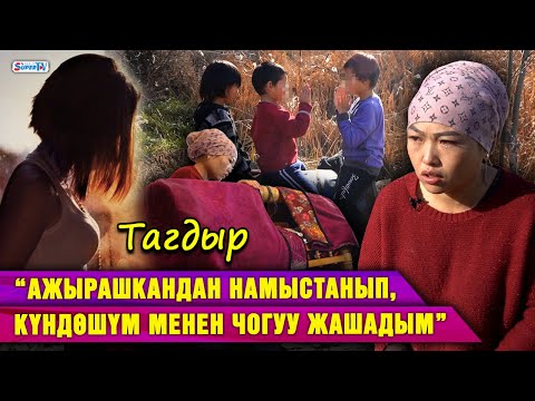 Video: Ганнибал менен Алана чогуу жатабы?