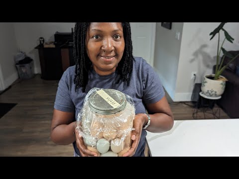 Tasting water glass eggs that have been preserved in picking lime for months