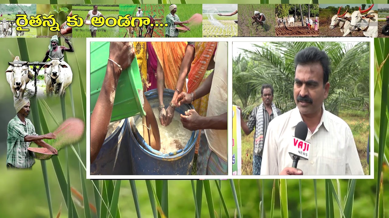 Agriculture 6 3 2020 YouTube