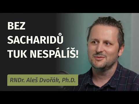 Bez sacharidů nespálíte ani gram tuku! Biochemik RNDr. Aleš Dvořák, Ph.D. o mýtech v jídle