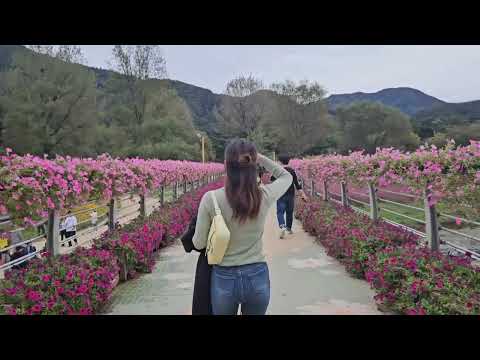 공식없는 휴일_ 자라섬 재즈페스티벌