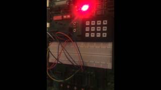 Lab #5 microcontroller I/O and WDT simple exercise controls