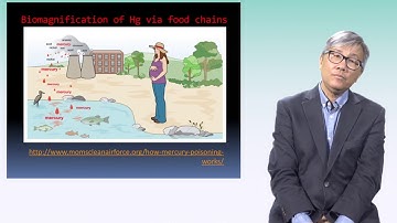 ENSC 2270 Lecture 5 Video 3: Metal Intoxication and Risk Management