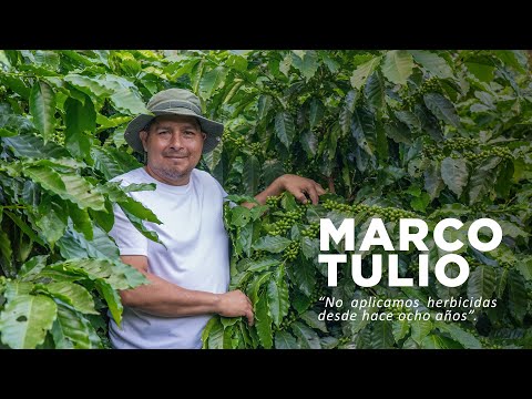 Un caficultor de la cordillera Apaneca-Ilamatepec, en el oeste de El Salvador, enseña su finca y cómo la trabaja