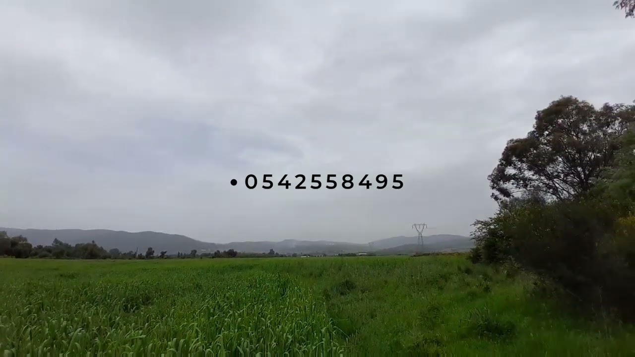 أرض فلاحية  للبيع ملكية خاصة7.7هكتار جيجل سطارة