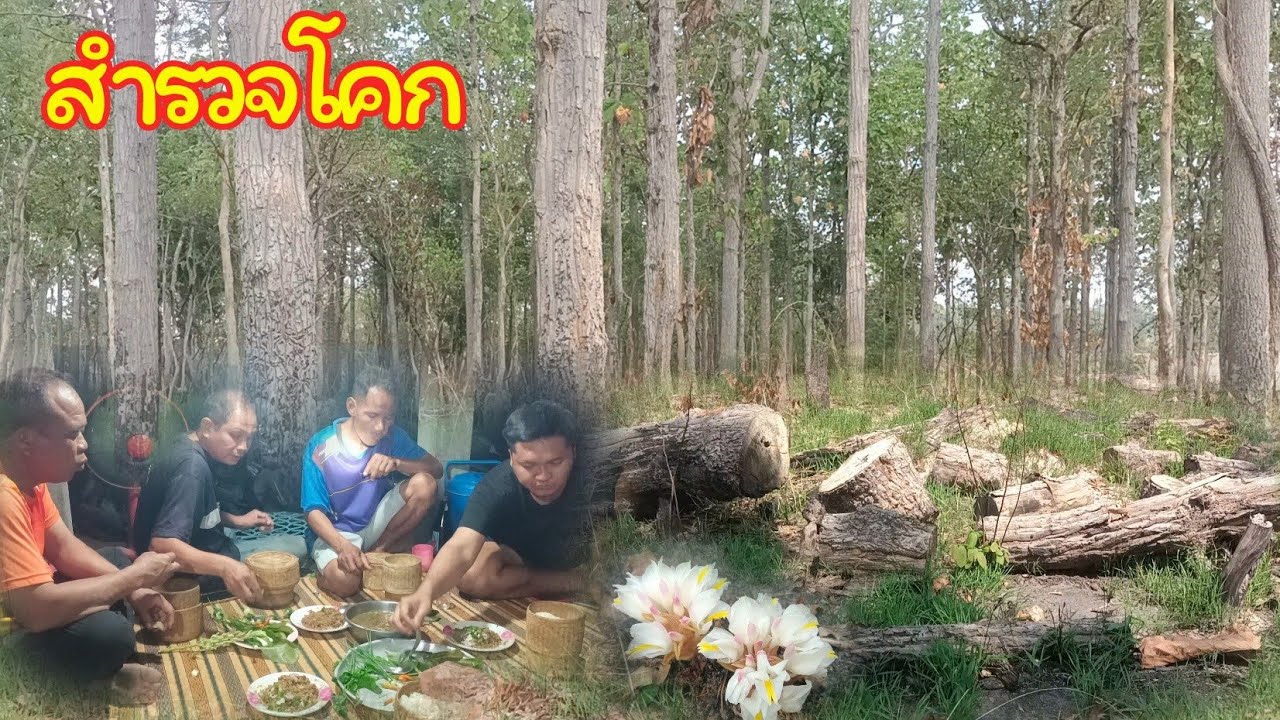 สุดยอดเมนูของป่า ของดีอีสานต้นฤดูฝน