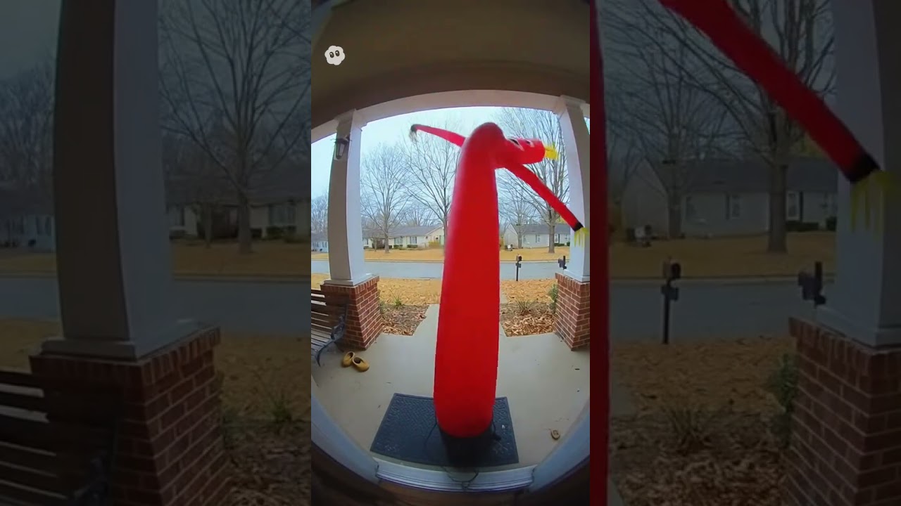 Inflatable Man Goes Insane at Ring Doorbell