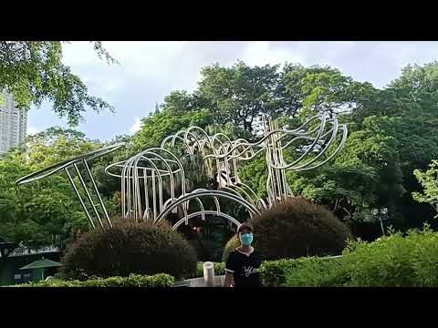 beautiful natural park in Kowloon Hongkong