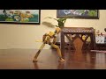 Easy 13 stop motion