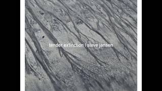Steve Jansen - And Birds Sing All Night