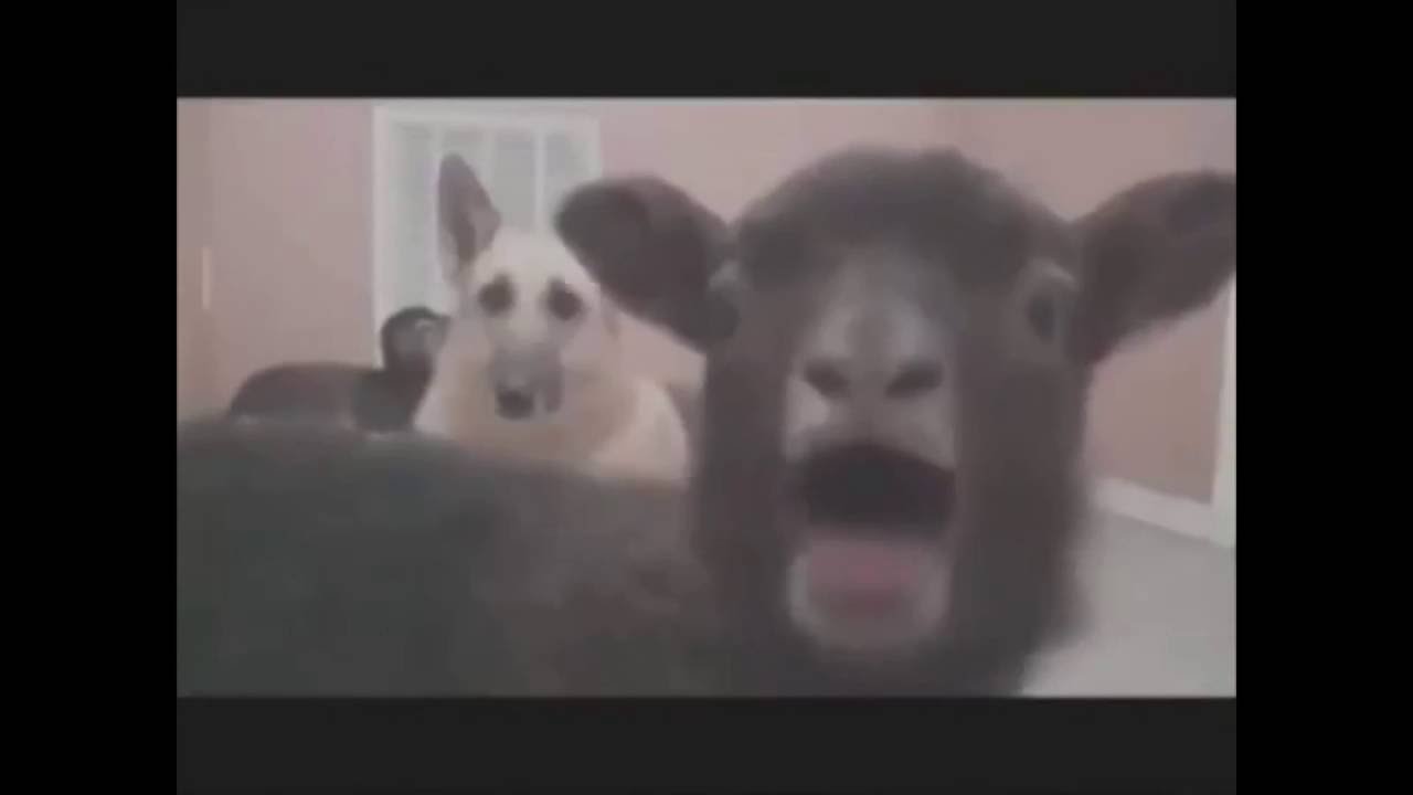 the moste cringe cringevideo on youtube part 1