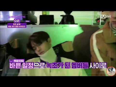 [ʏᴇᴊᴇᴏɴɢ] 워너원 고 시즌2 제로베이스 VJ 대휘 (feat. 포도머리)
