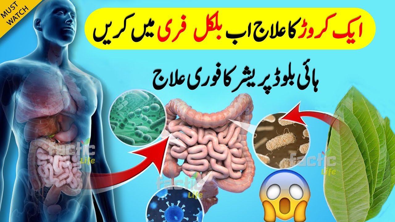 High Blood Pressure Ko Kaise Control Kare High Blood Pressure Ko