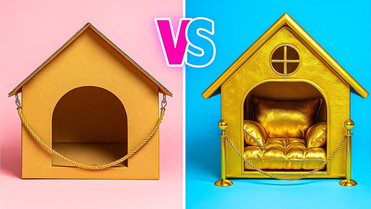 Stanze segrete per animali! 🐾 Ristrutturazione di un rifugio per animali da 1$ vs 1.000 vs 10.000$