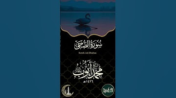 سورة الضحى بصوت الشيخ محمد أيوب - 1426هـ