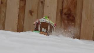 Gingerbread Shoot-out