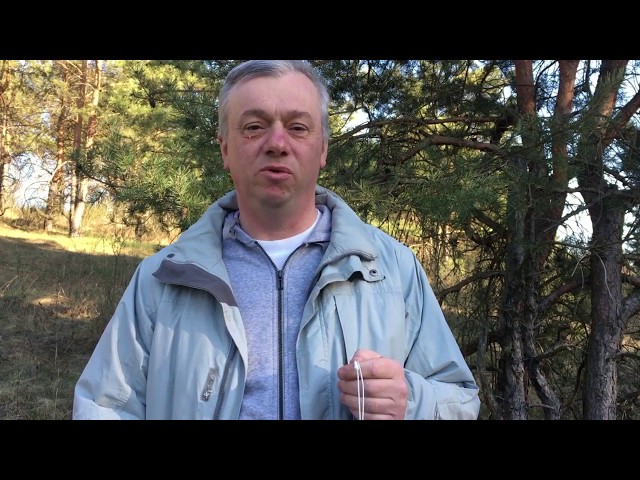 Всемирная медитация на звук «ОМ». Разделение духовного опыта. Александр Шульга.
