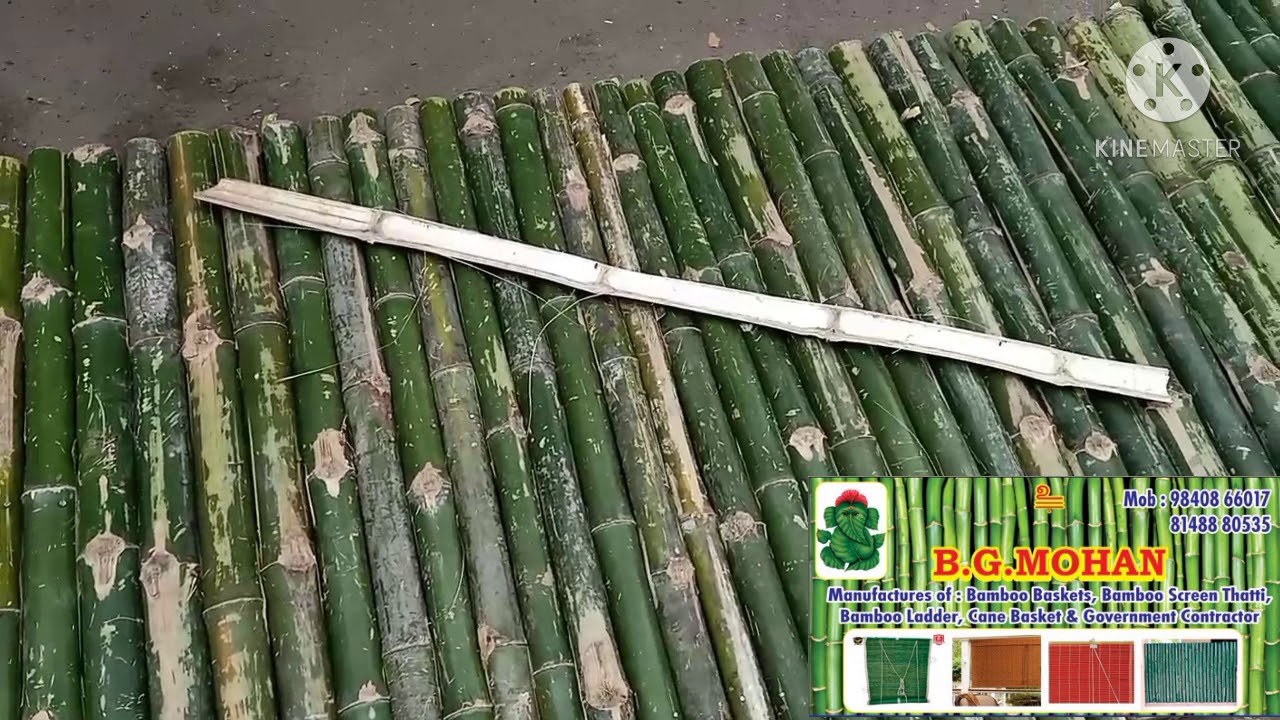 Bamboo Compound wall Making - YouTube