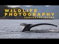 Amazing whale encounter  vancouver island bc