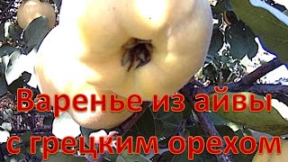 Как я варю варенье из айвы с грецким орехом