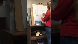 COM 181 Demonstrative Speech