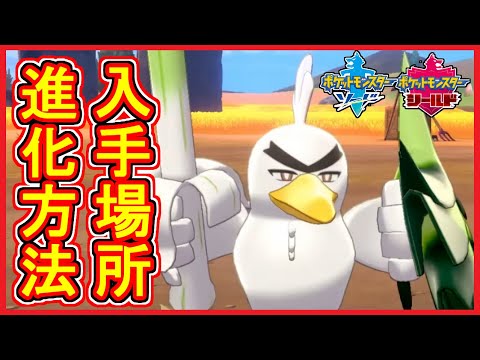 ソードシールド ふといながねぎの入手方法と効果まとめ ポケモン剣盾 攻略大百科