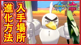 ポケモン剣盾 27 カモネギ入手場所 出現の小技 ネギガナイト進化方法 ポケモン剣盾 ポケモン ソード シールド 攻略 実況 Part27 メイルス Youtube