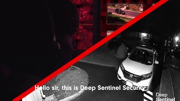 Preventing Crime in Real-Time