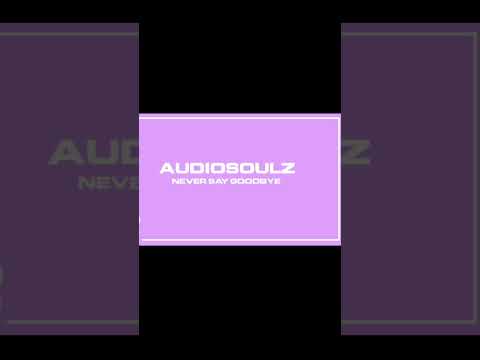 Audiosoulz - Never