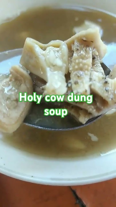 Cow Dung Soup Unlimited bini bini ph viralshorts bibonpc bibonpc cow-dung-soup-unlimited-bini-bini-ph-viralshorts-bibonpc-bibonpc